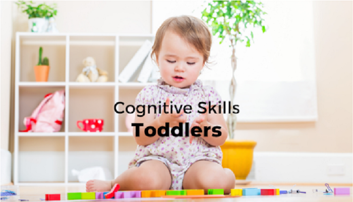 Cognitive Skills of Toddlers
