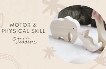 Motor & physical Skills - Toddler