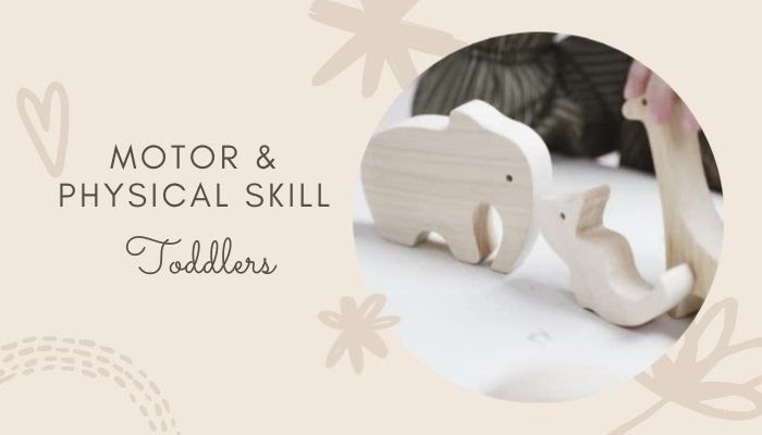 Motor & physical Skills - Toddler