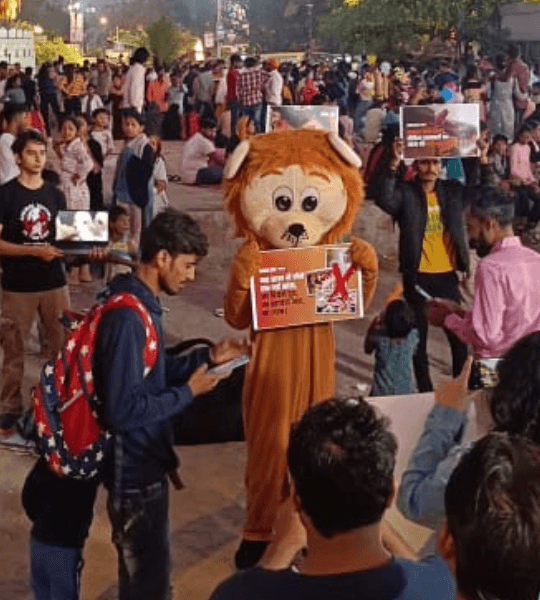 Mickey, Donald Duck, Lion, Panda and Doraemon Mascots at a birthday party event